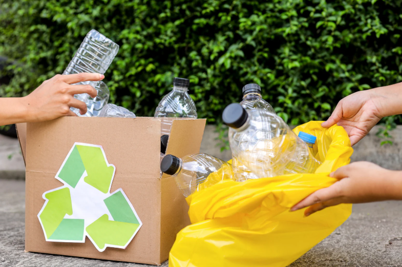 Recycling & Eco-Friendly Disposal