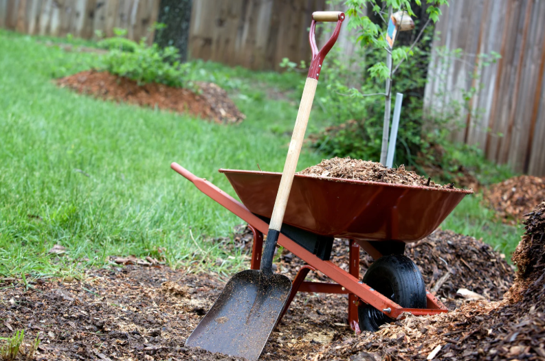 General Yard Debris Cleanup