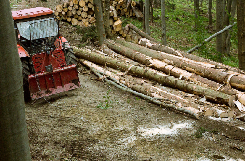 Wood and Lumber Hauling