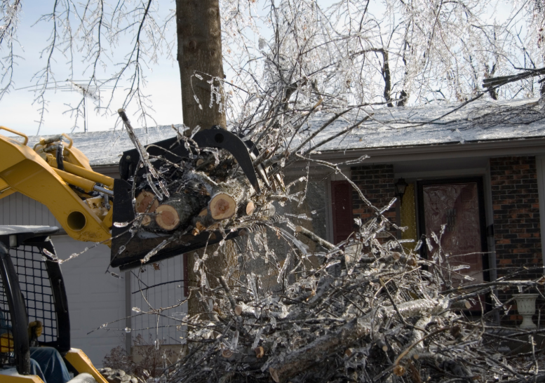 Storm and Seasonal Clean-Up Dumpsters